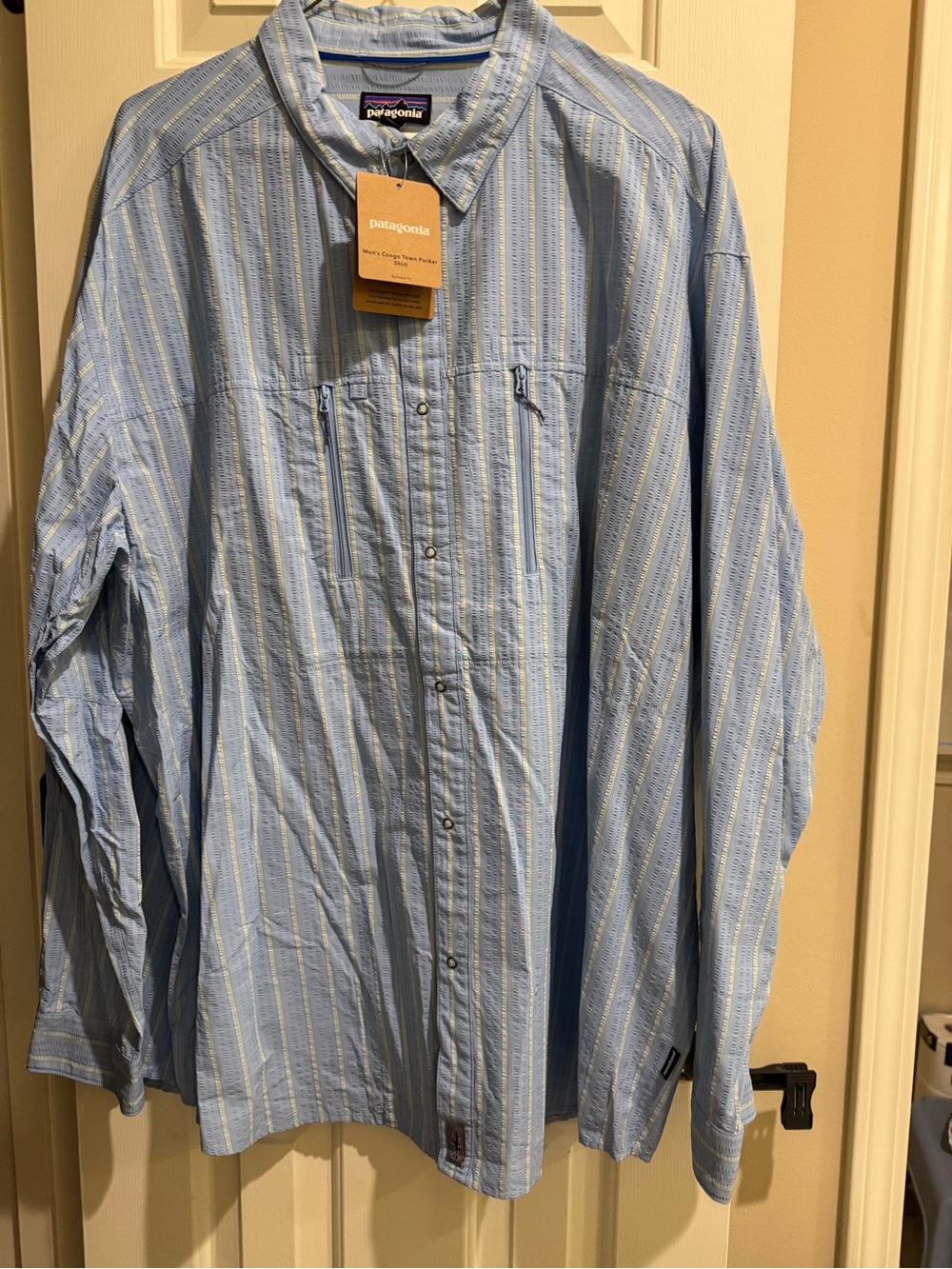 Patagonia Men's Light Blue Striped Casual Button-Down Shirt